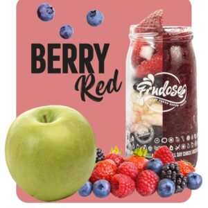 Frozen BERRY RED SMOOTHIE FRUDOSE 12x140gr