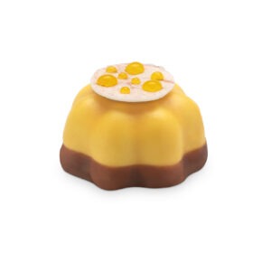 Frozen individual MANGO cake PAPA 12pcs/box code 111030
