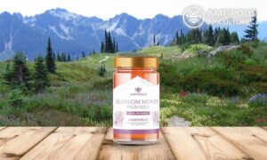 Greek high quality BLOSSOM HONEY AMFIPOLIS 18x250gr