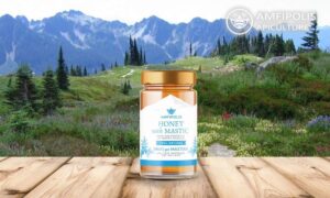 Greek high quality MASTIC HONEY AMFIPOLIS 18x250gr