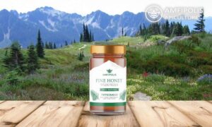 Greek high quality PINE TREE HONEY AMFIPOLIS 18x250gr