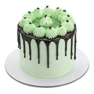Frozen round FANCY PISTACHIO cake PAPA code 170122