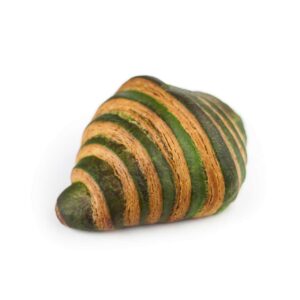 Greek style frozen butter pistachio croissant 40x100gr/case PBF code 12008